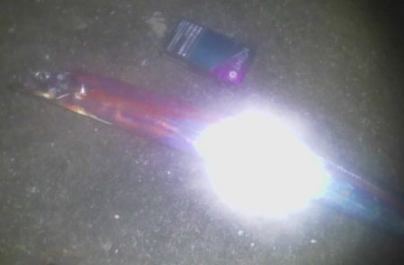 太刀魚好調です